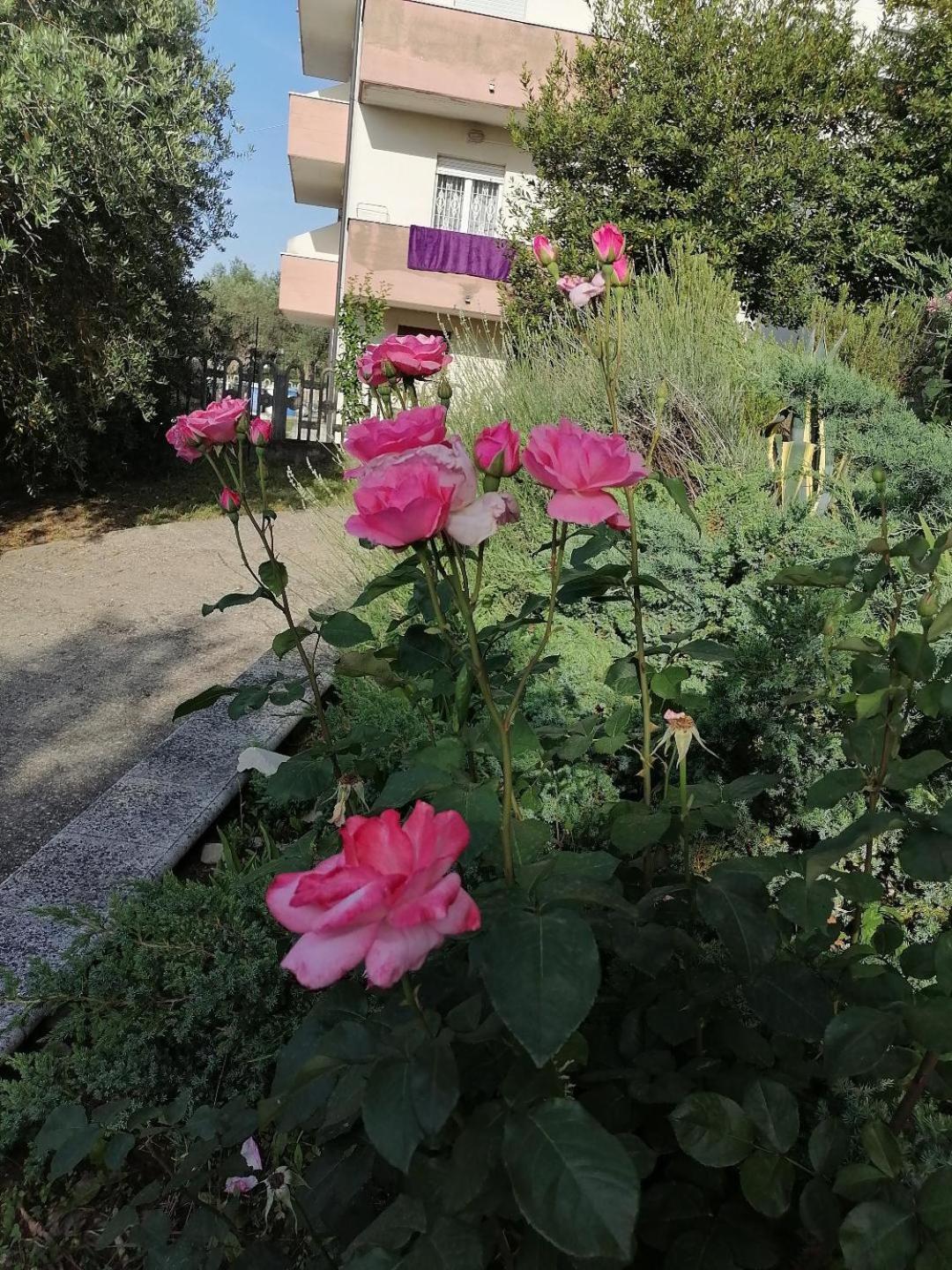 La Vie En Rose Holiday home *