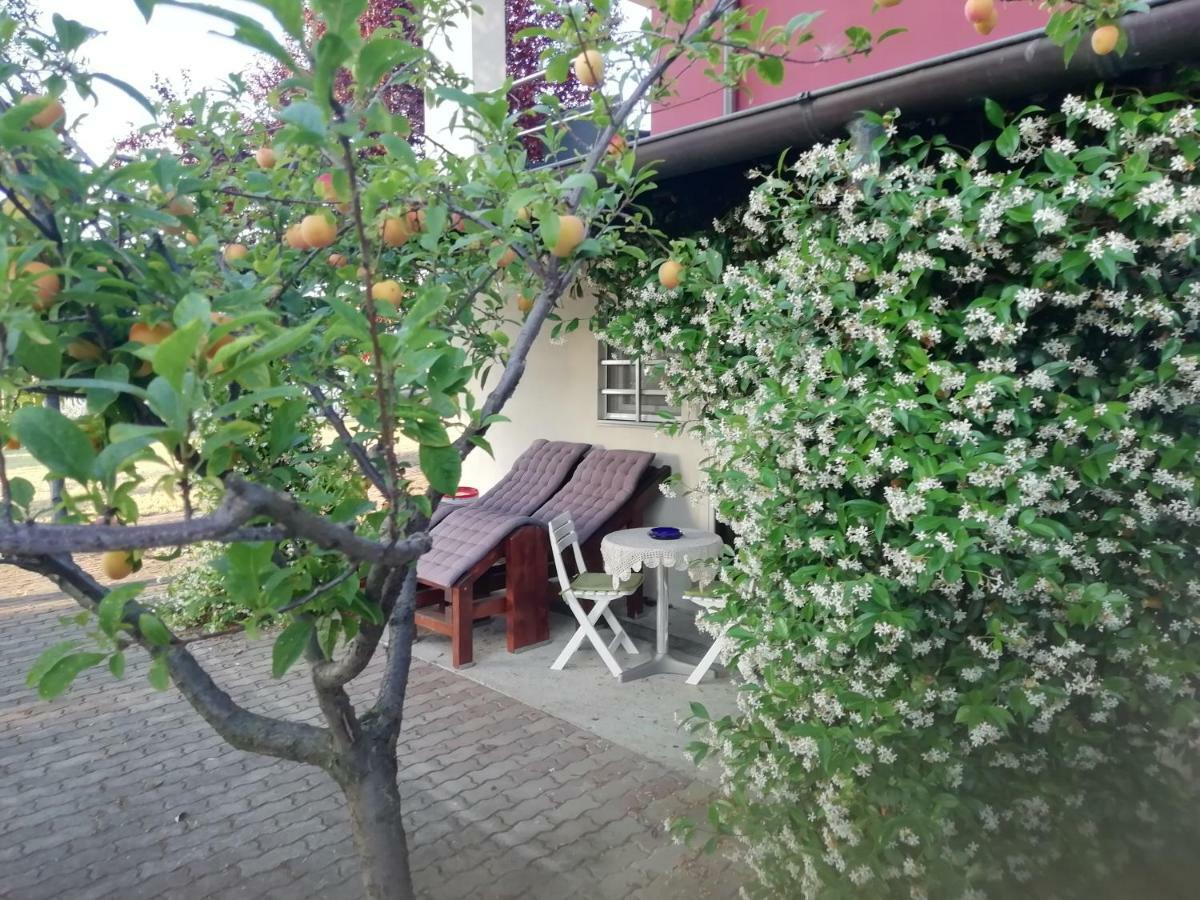 La Vie En Rose Holiday home
